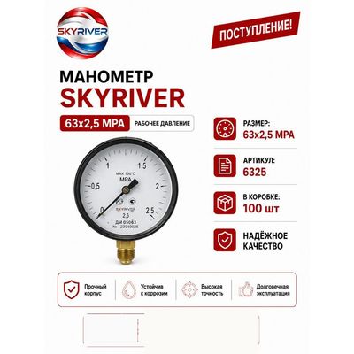Манометр 63 мм, 0–2,5 МПа